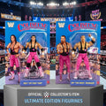 Bret Hart & Jim Neidhart Set