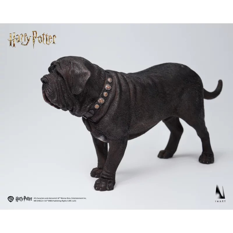 Draco Malfoy