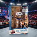 Joe Hendry