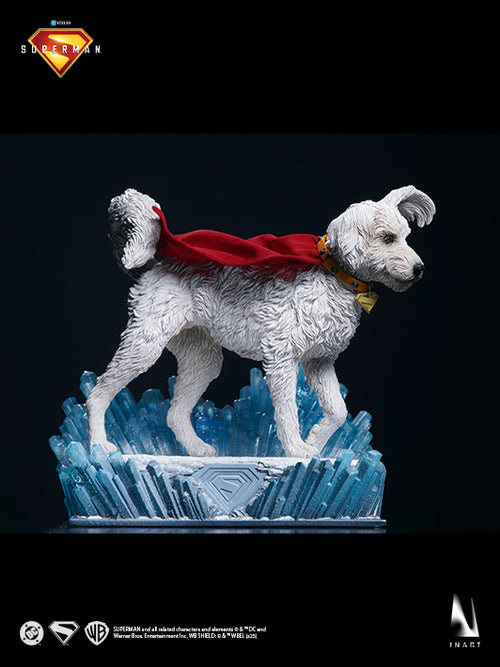 Superman & Krypto