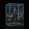 The Dark Knight Trilogy Catwoman (Selina Kyle)