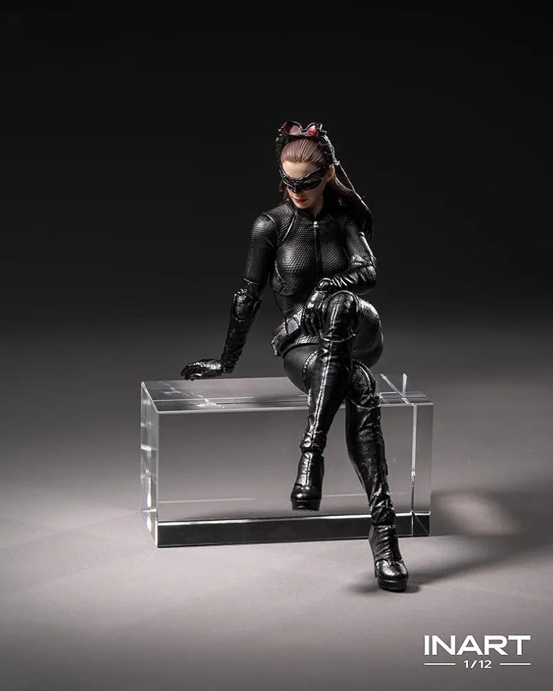 The Dark Knight Trilogy Catwoman (Selina Kyle)