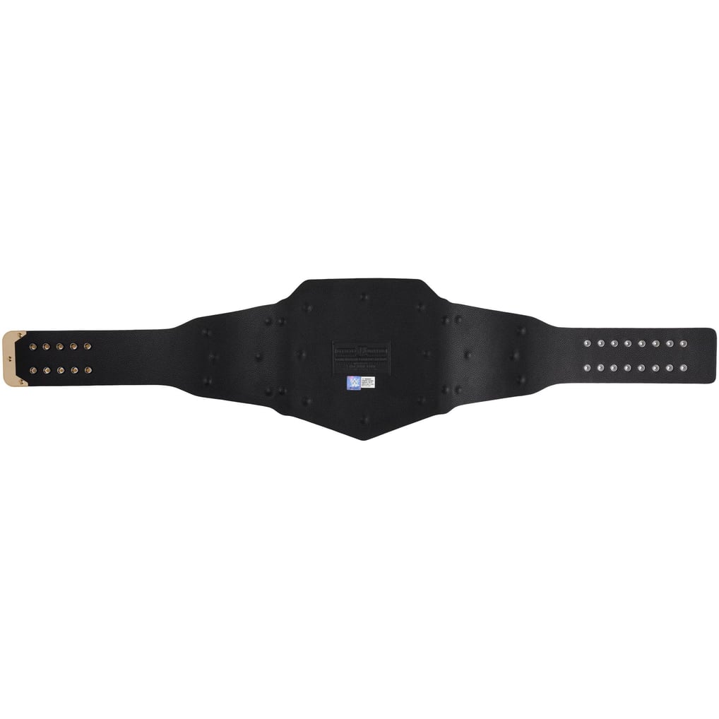 WWE Undisputed Universal Championship Replica Belt for Action Figures